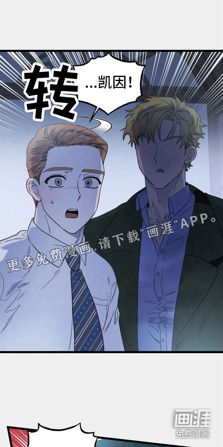 第15章：最大的问题