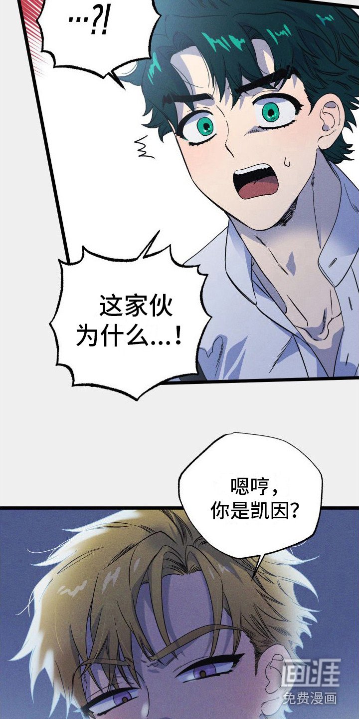 第15章：最大的问题
