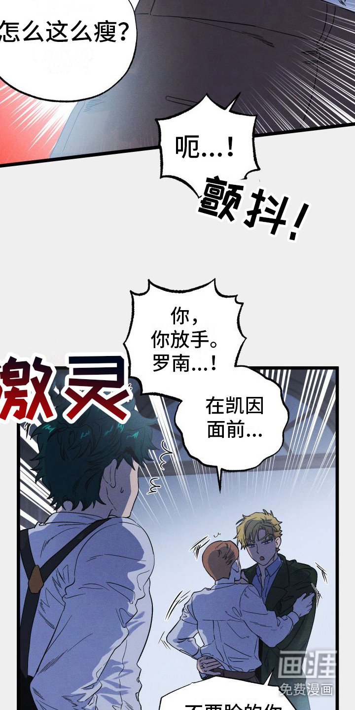 第15章：最大的问题