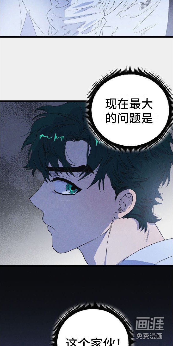 第15章：最大的问题