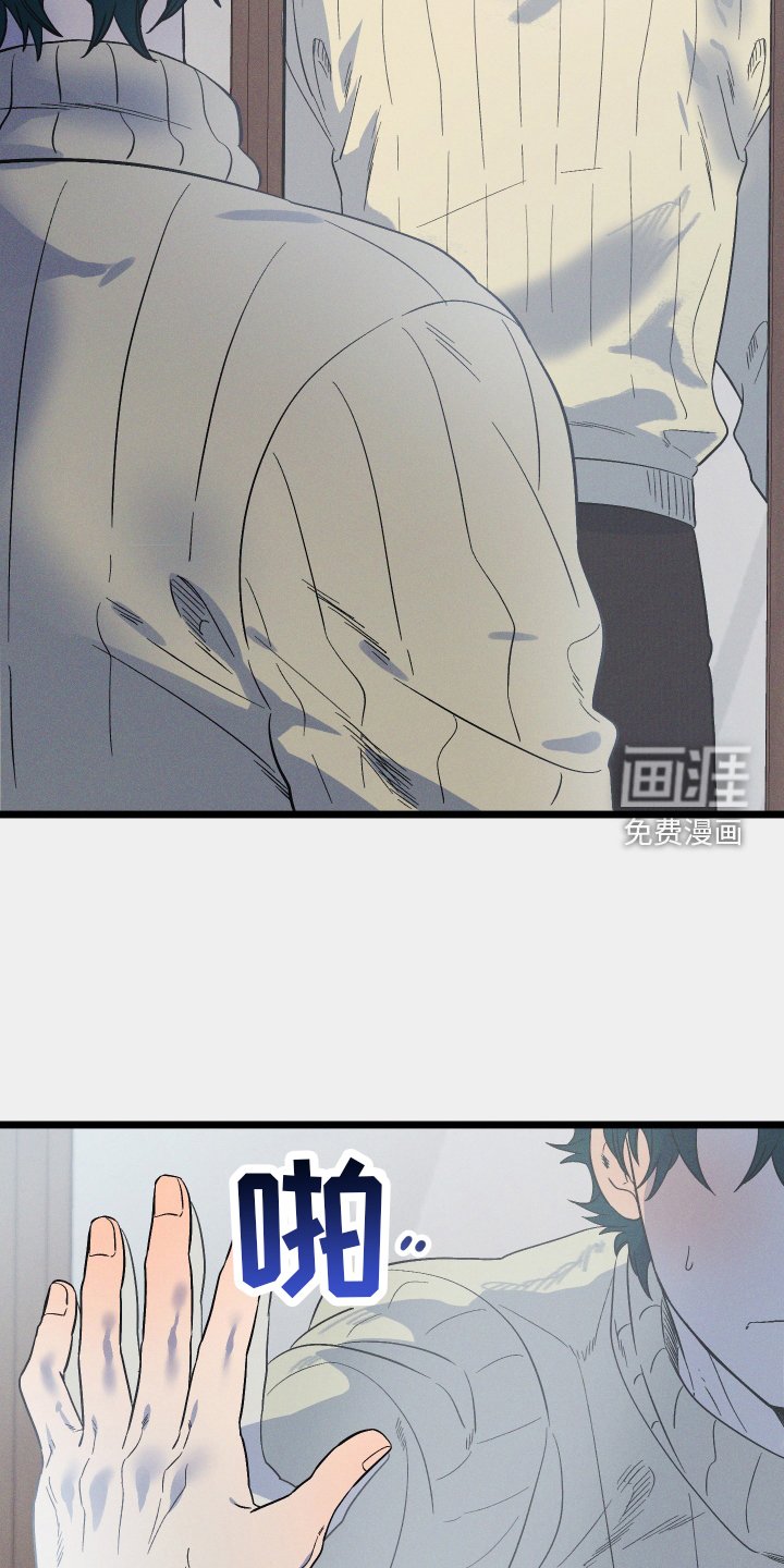 第31章：绝对