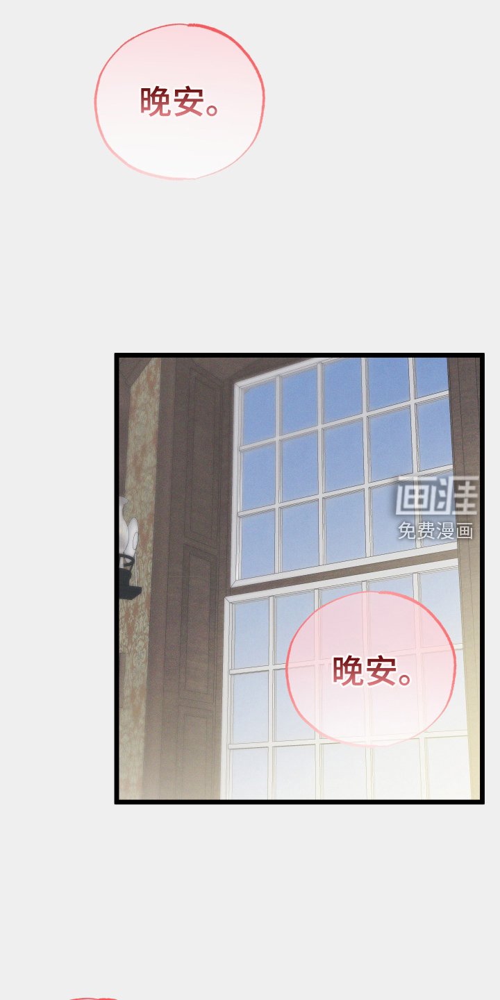 第44章：受伤