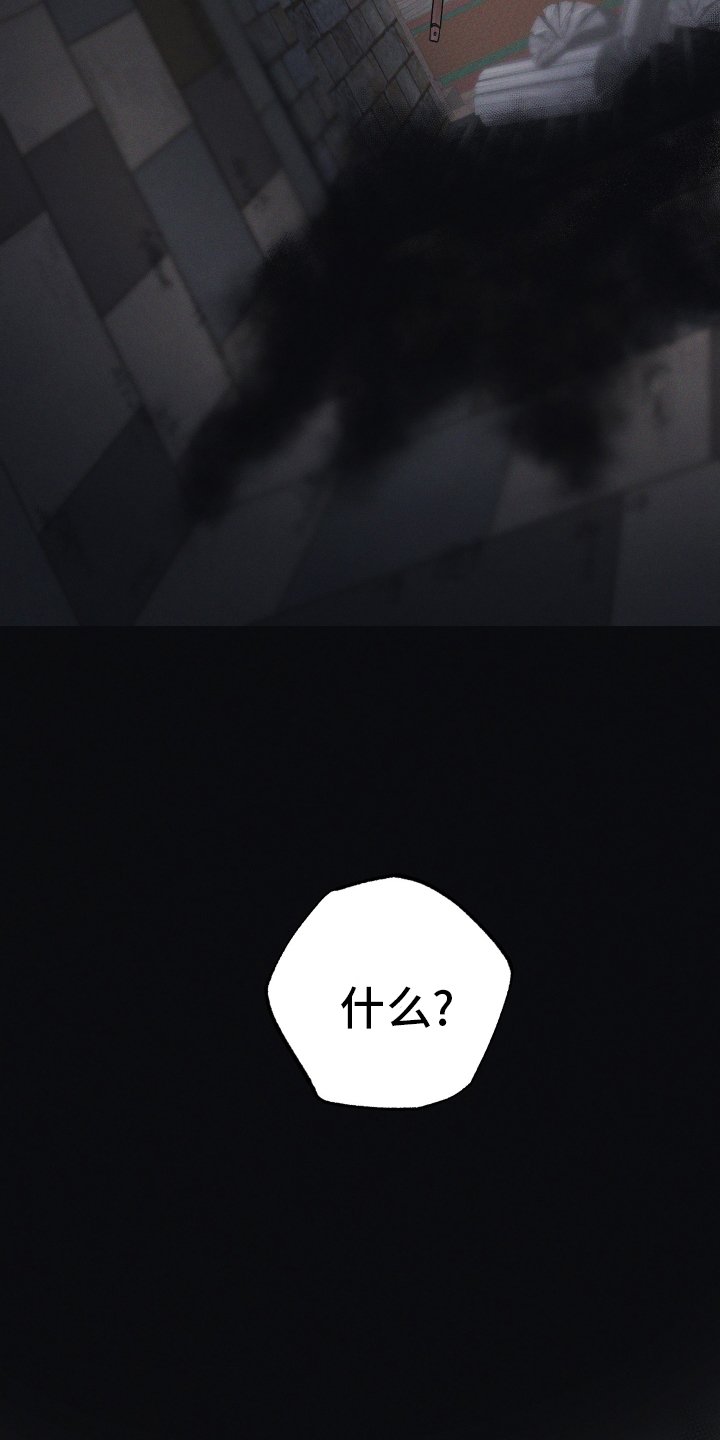 第46章：神秘壁炉