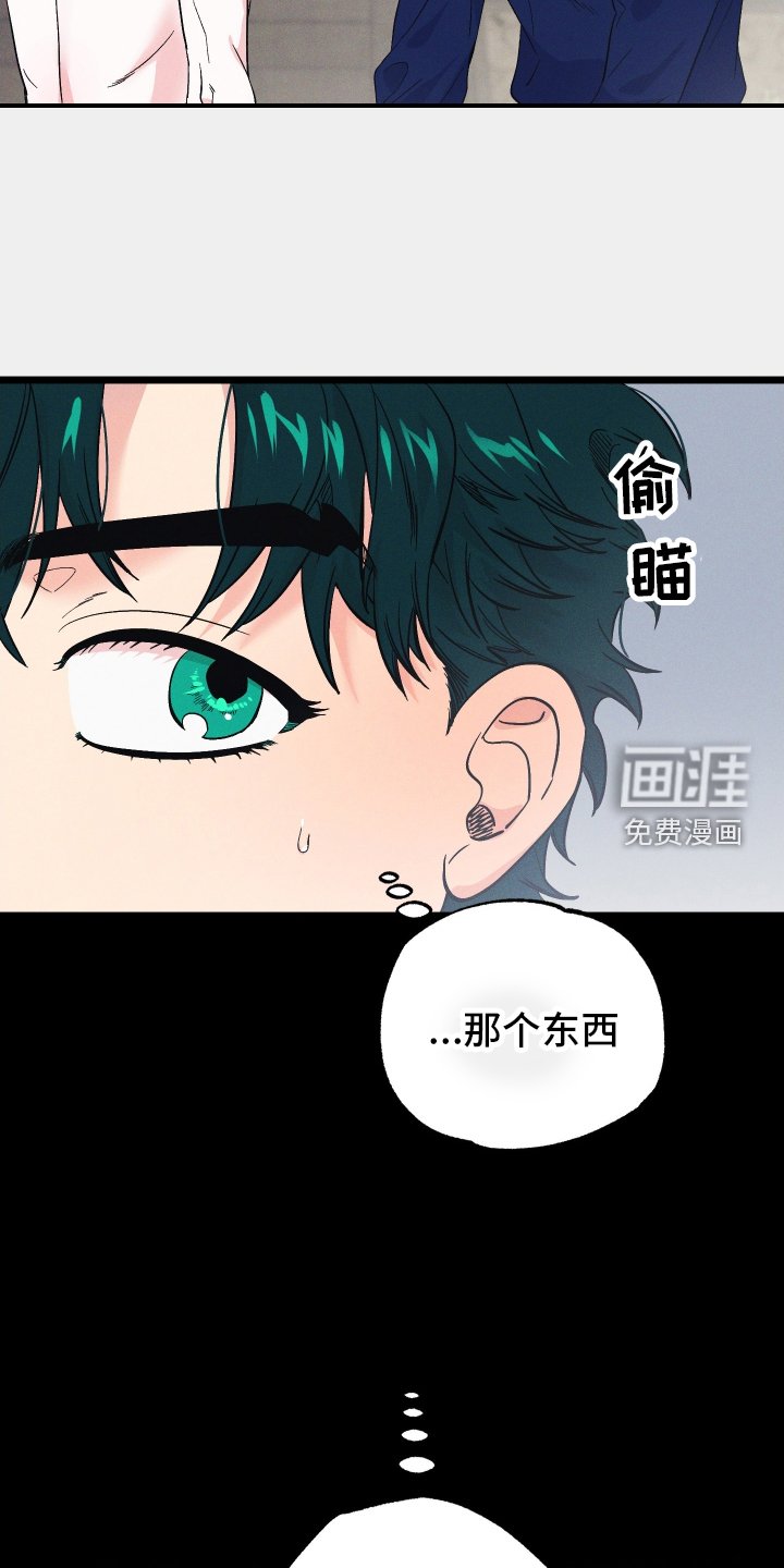 第46章：神秘壁炉