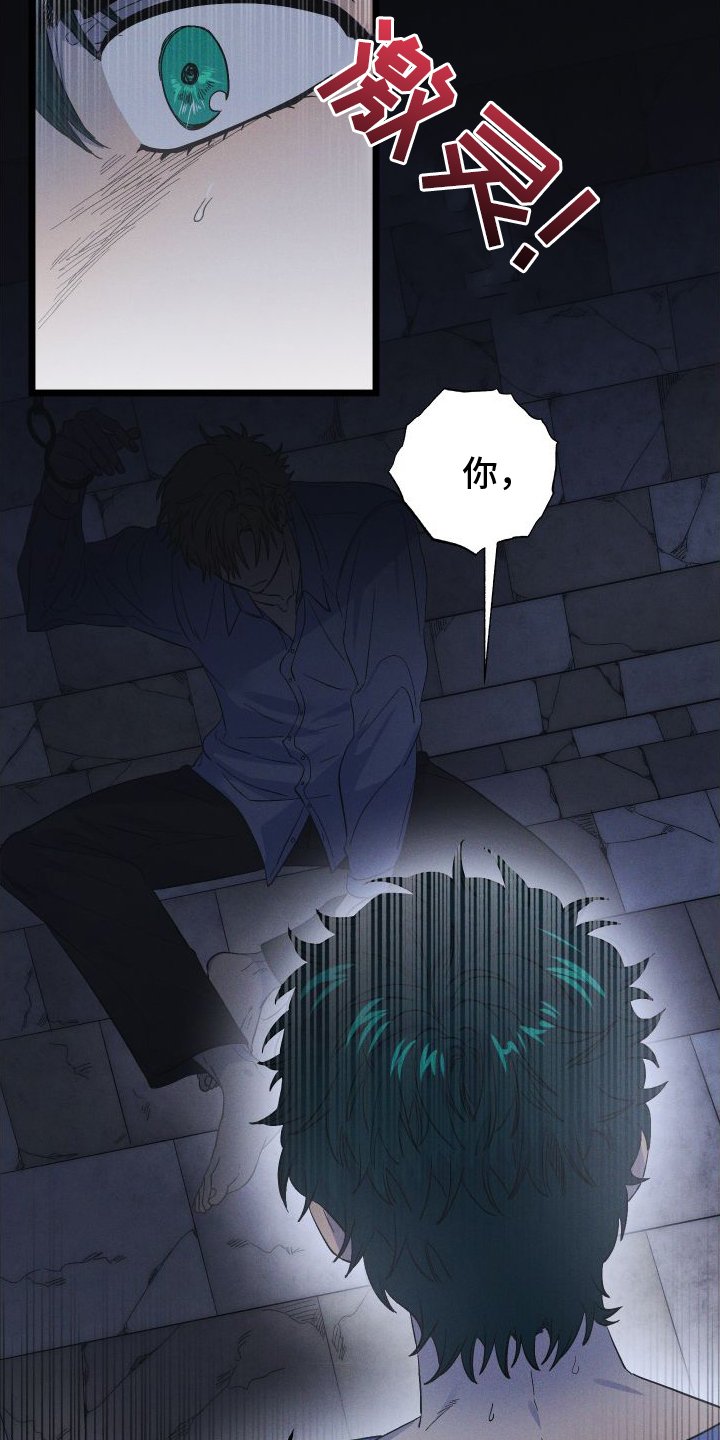 第49章：真相