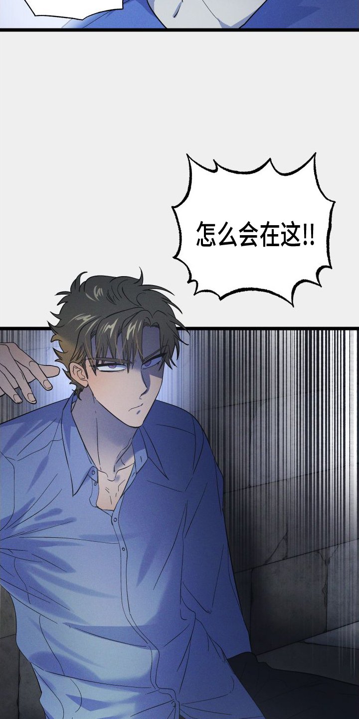 第49章：真相