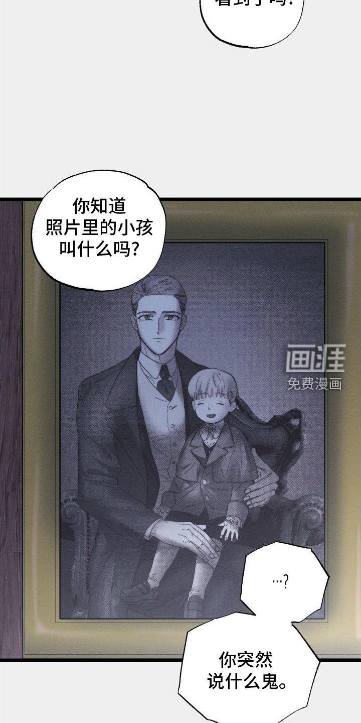 第49章：真相