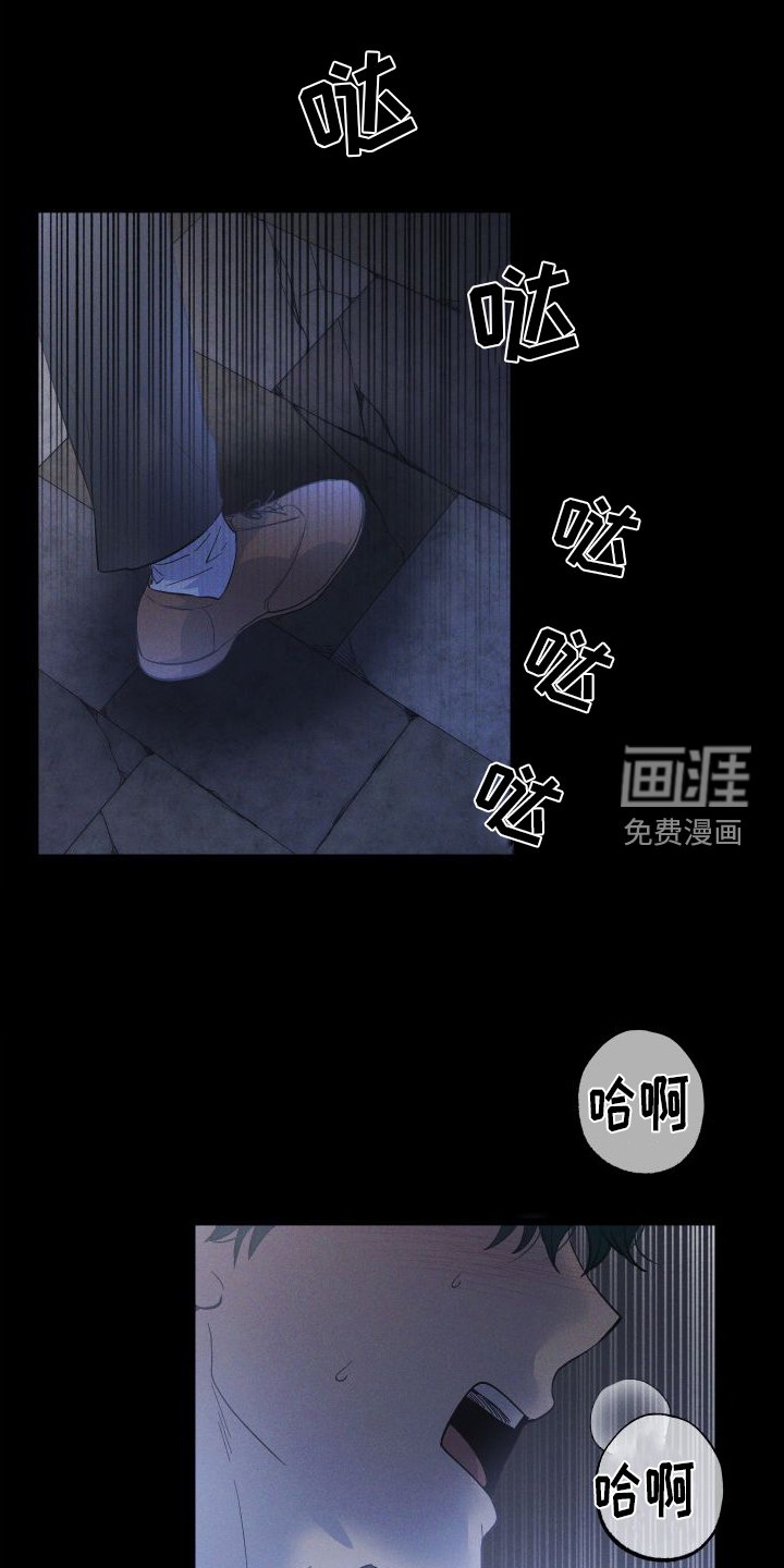 第50章：看见了