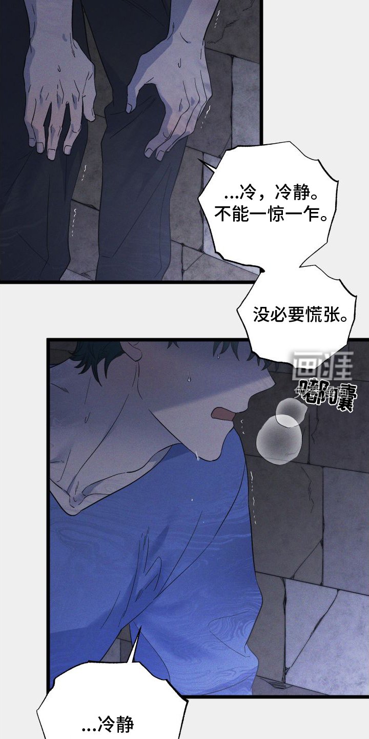 第50章：看见了