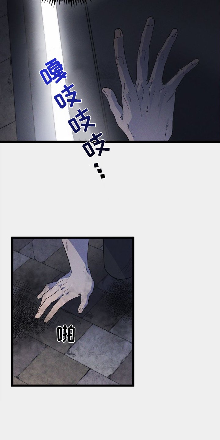 第50章：看见了