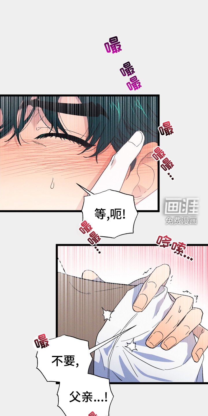 第52章：喜欢的事