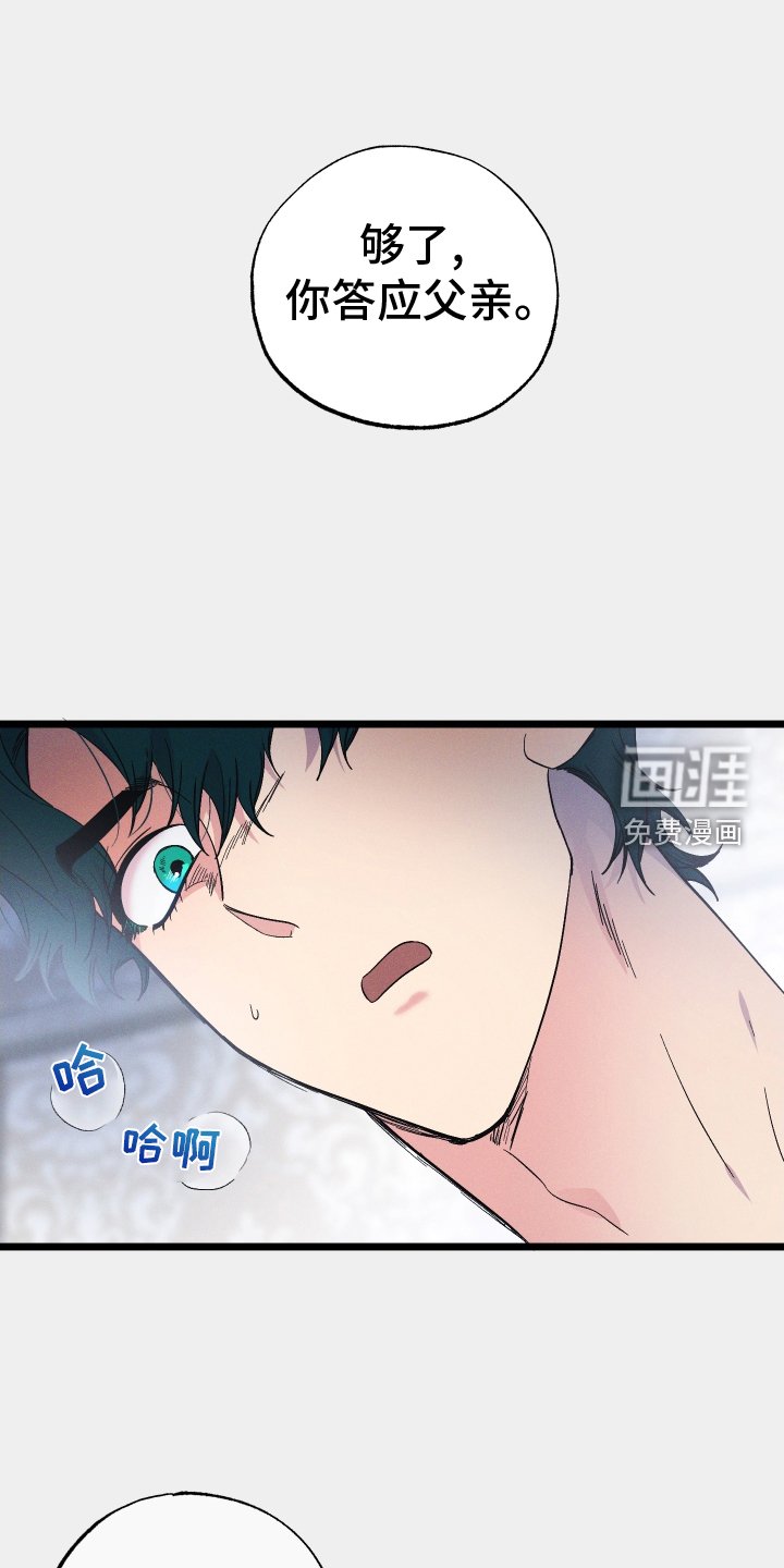 第52章：喜欢的事