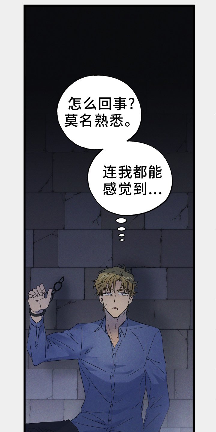 第54章：替代品