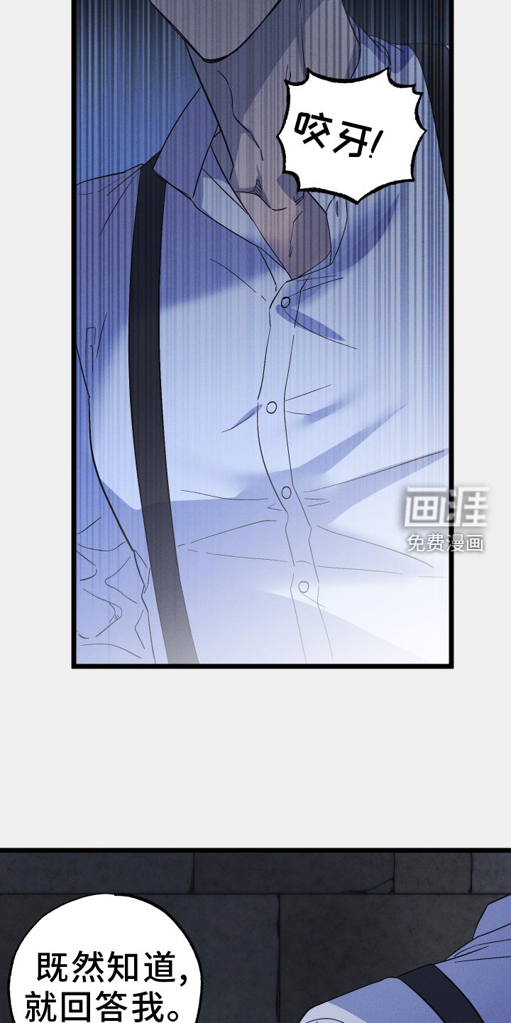 第54章：替代品