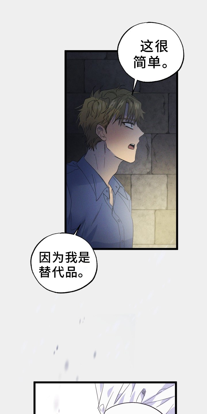 第54章：替代品