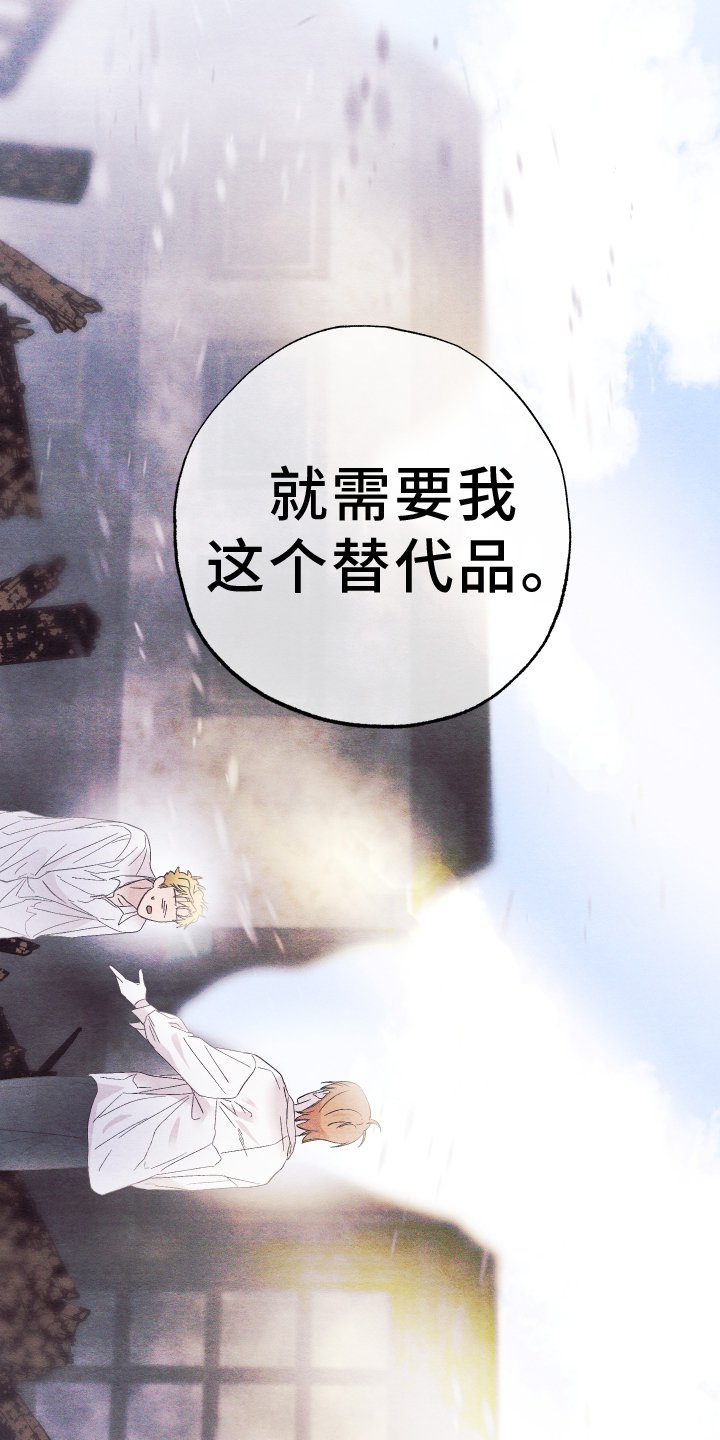 第54章：替代品