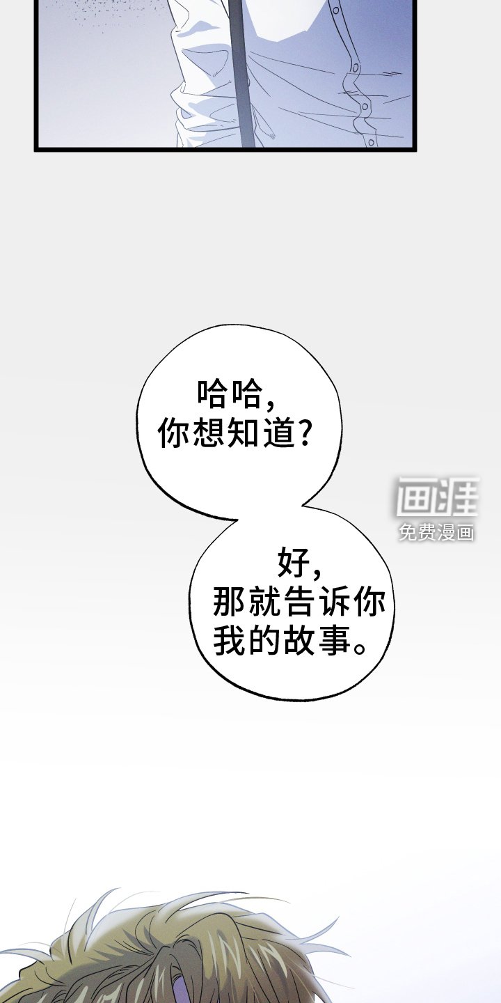 第55章：阴谋