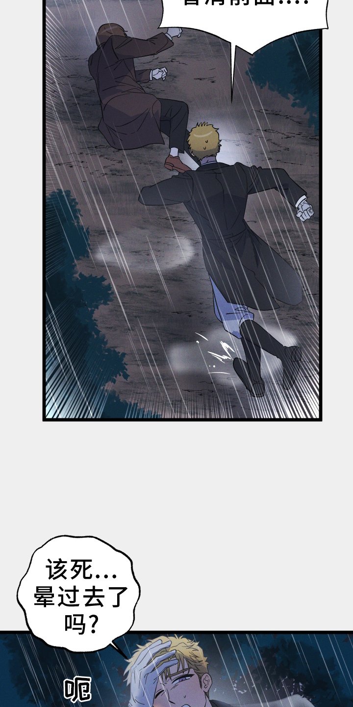 第55章：阴谋