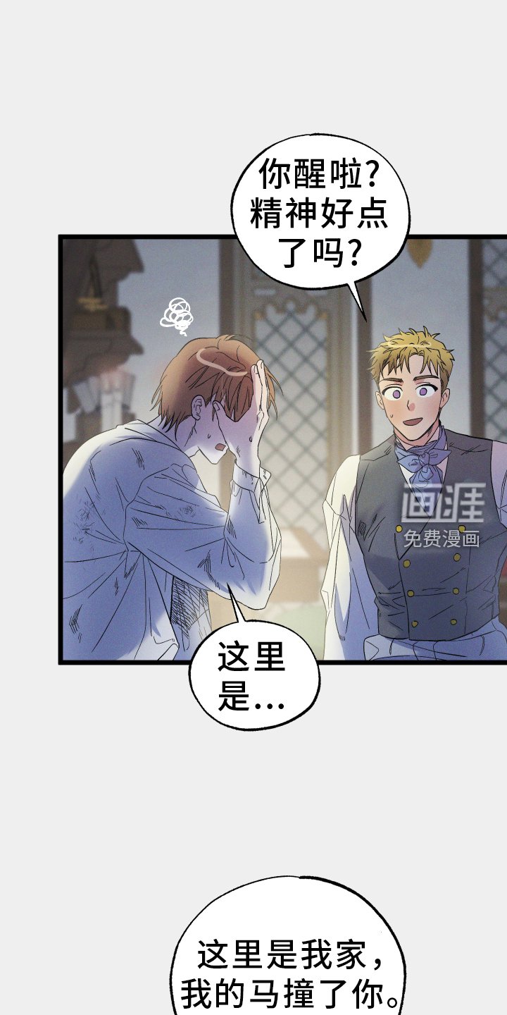 第55章：阴谋