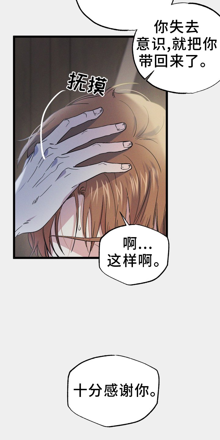 第55章：阴谋