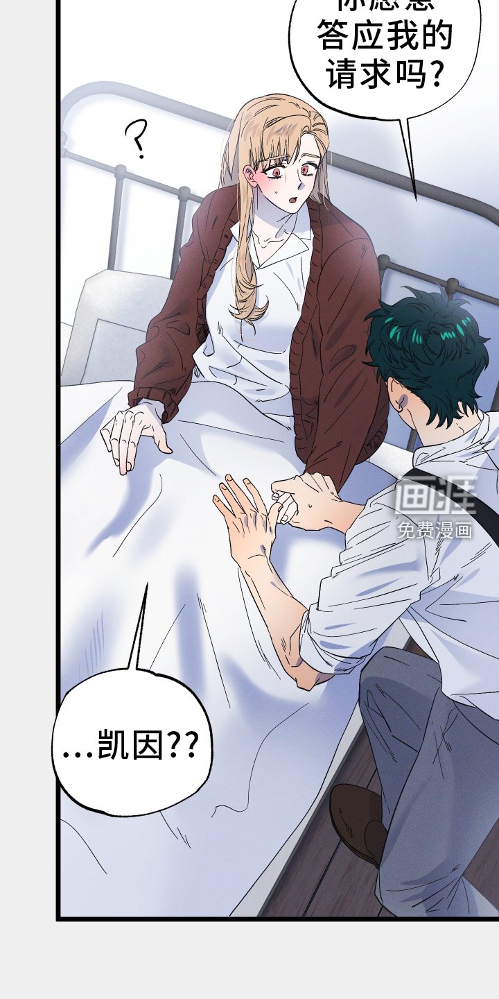 第62章：规划