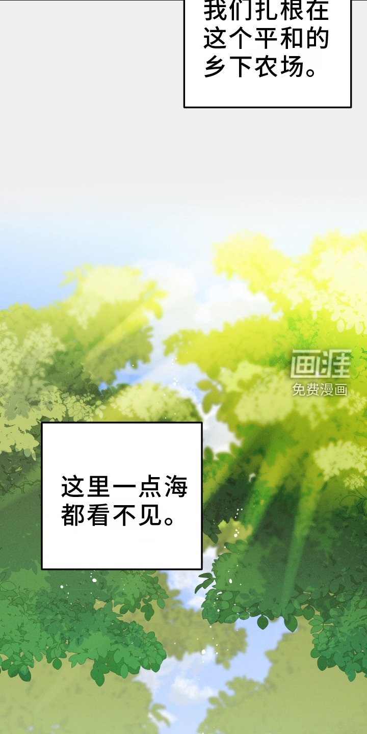 第62章：规划