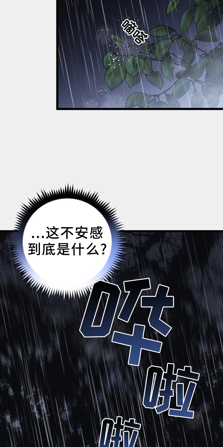 第66章：感觉