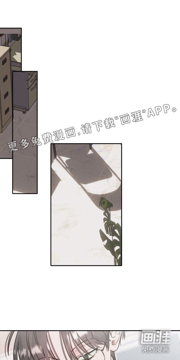 第12章：格子衫