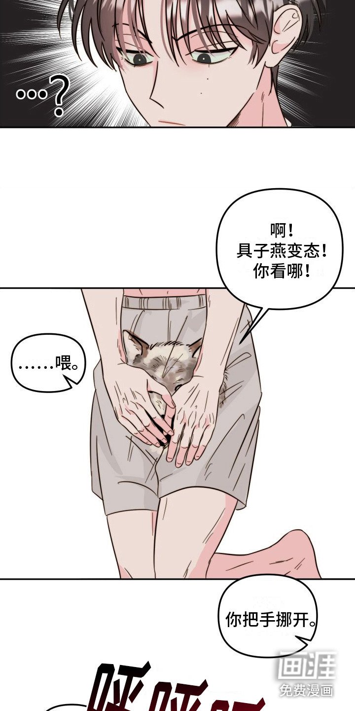 第12章：格子衫