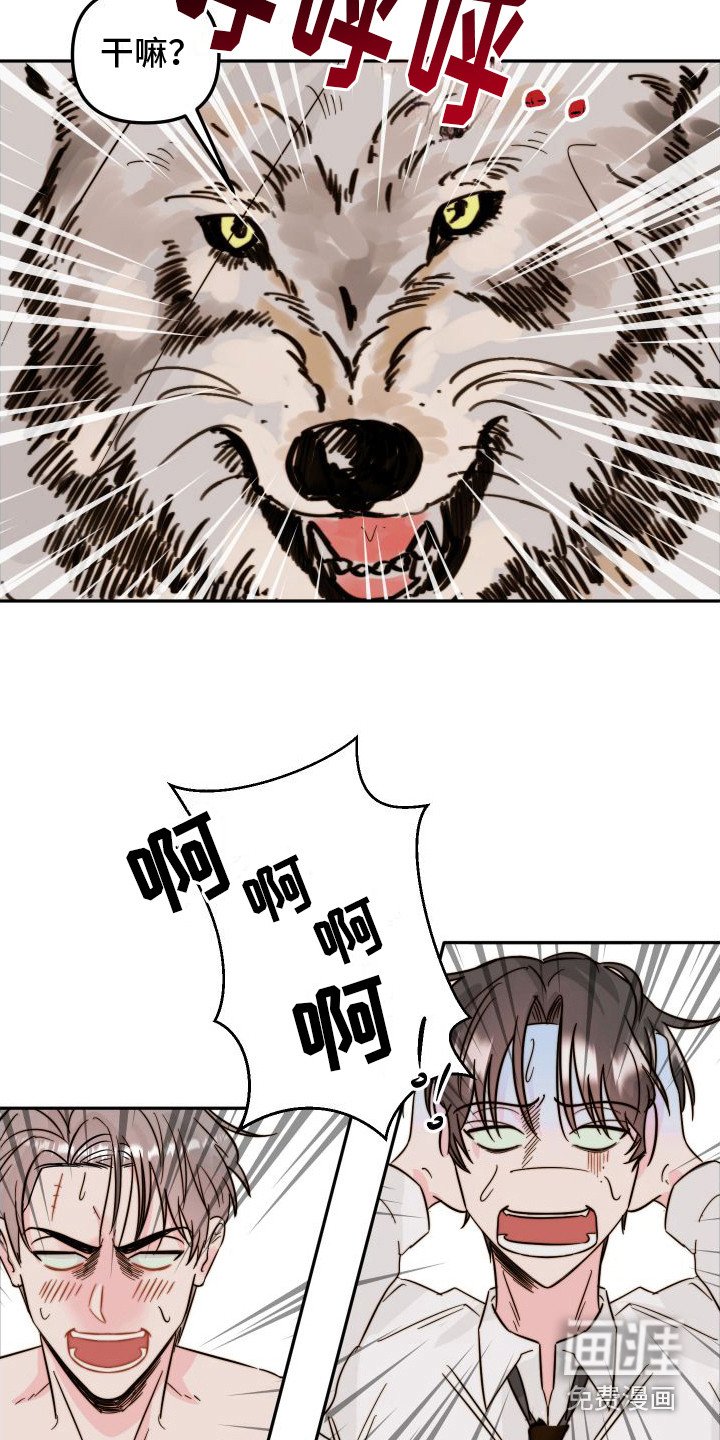 第12章：格子衫