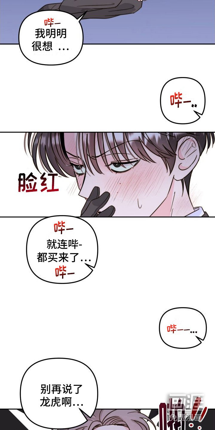 第17章：解决方法