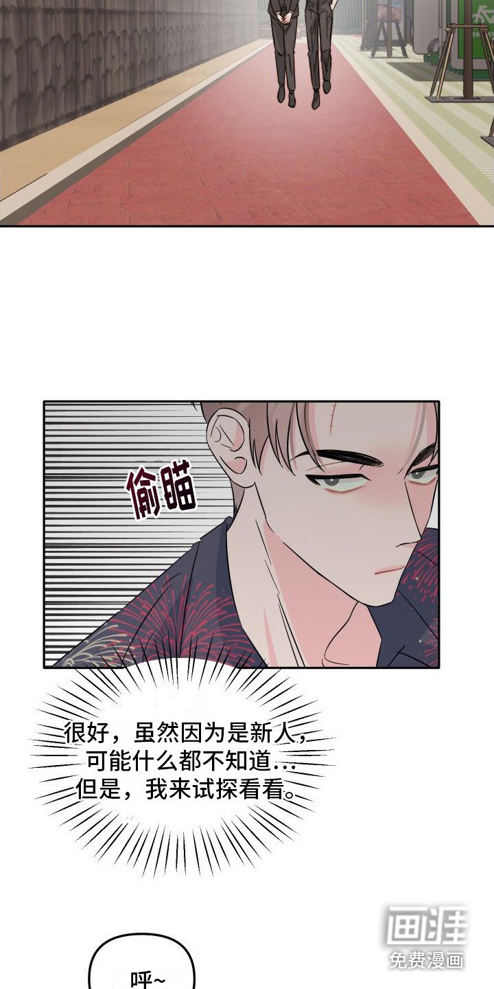第19章：试探