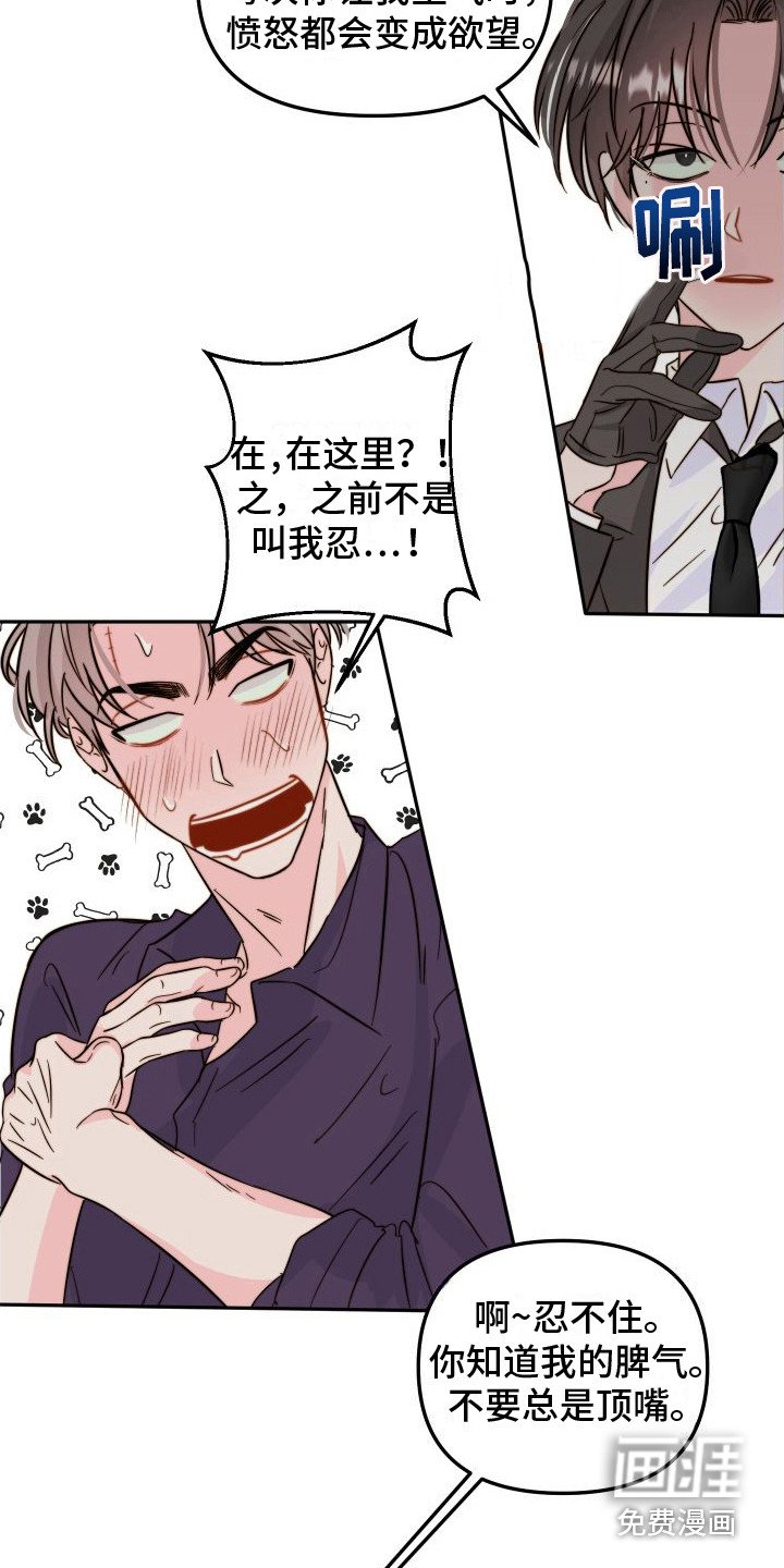 第21章：公告栏 