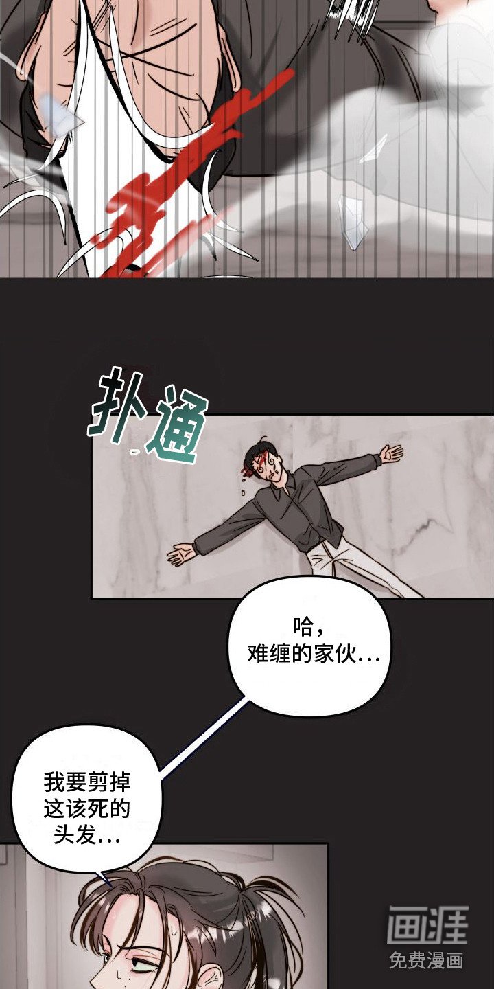 第6章：表白
