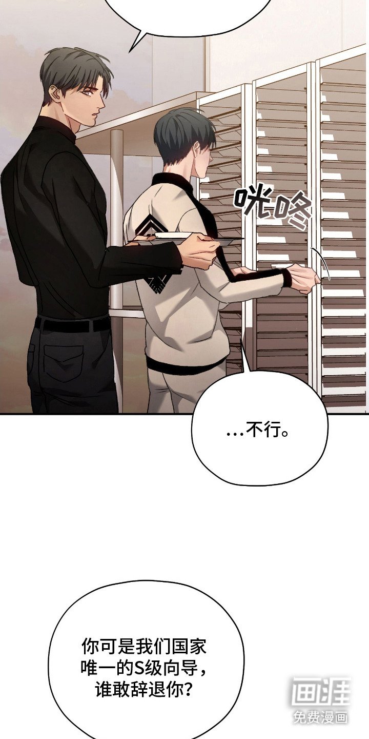 第13章：出现场