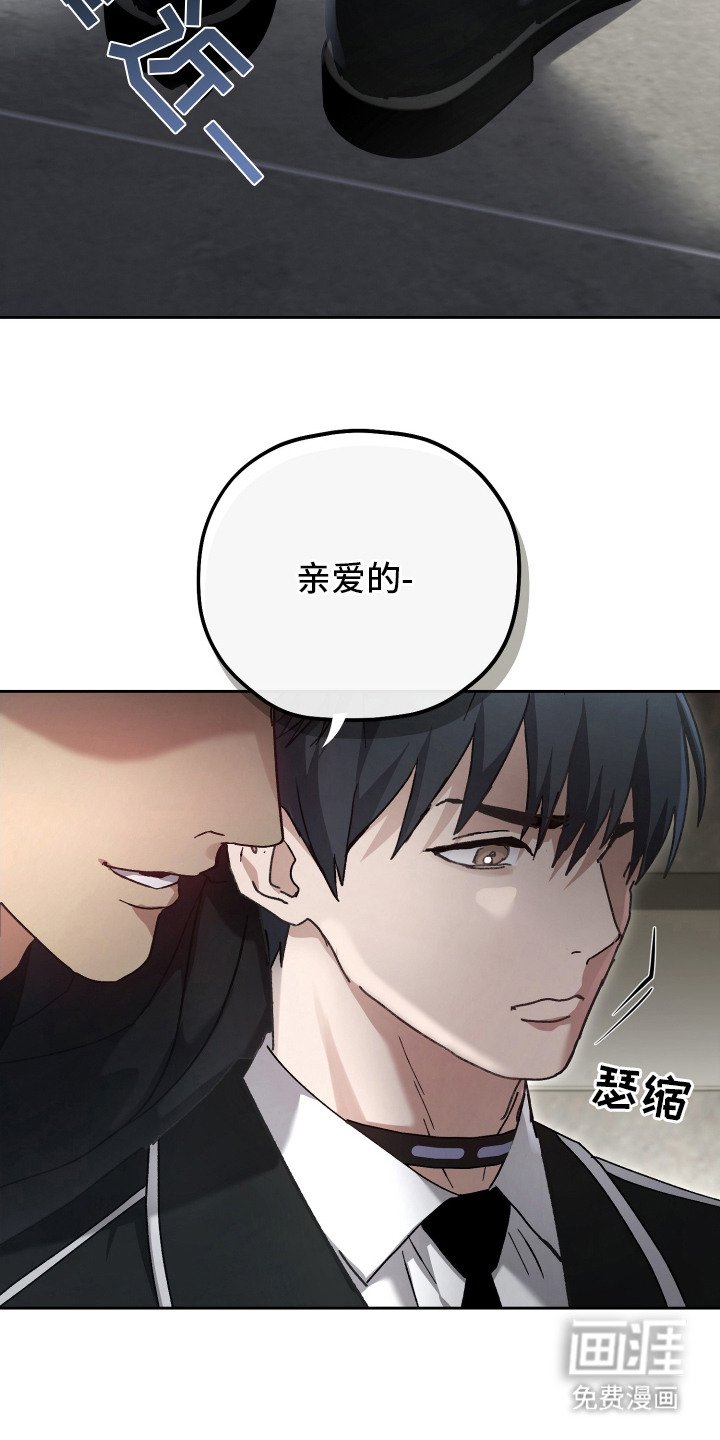 第3章：双胞胎