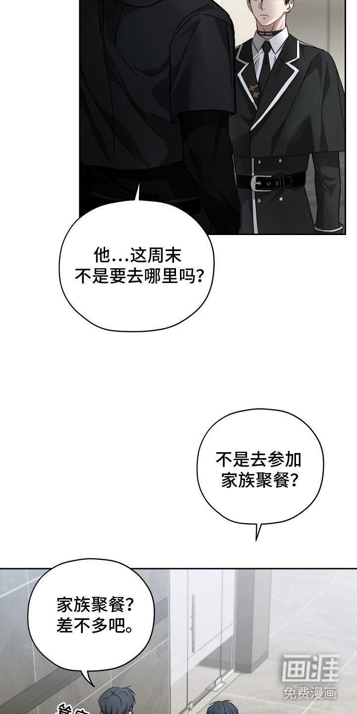 第3章：双胞胎