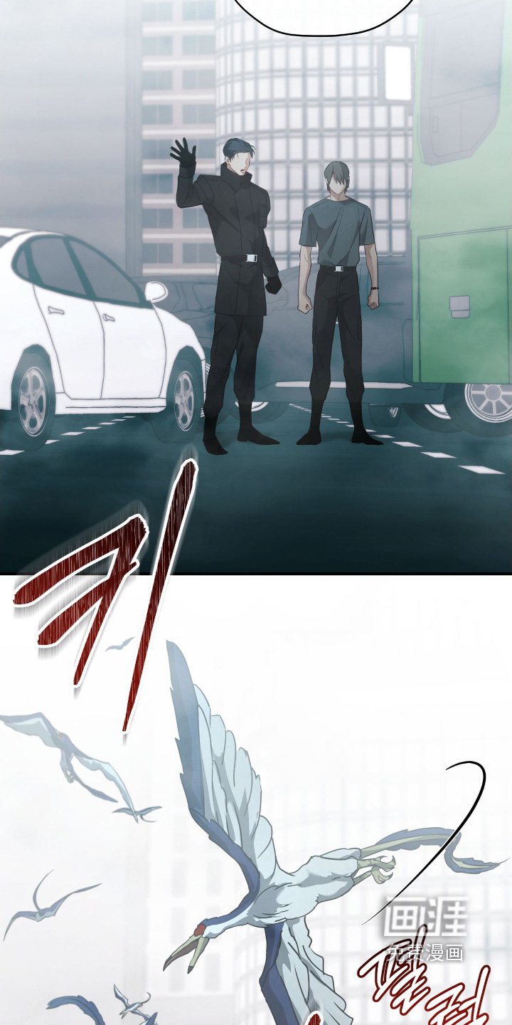 第36章：退后