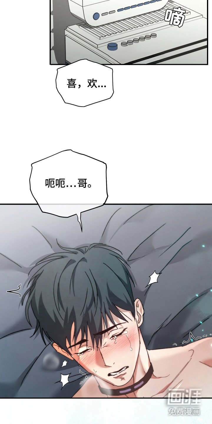 第6章：亲手驯服