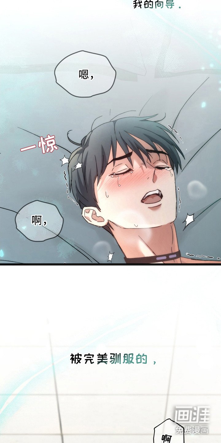 第6章：亲手驯服