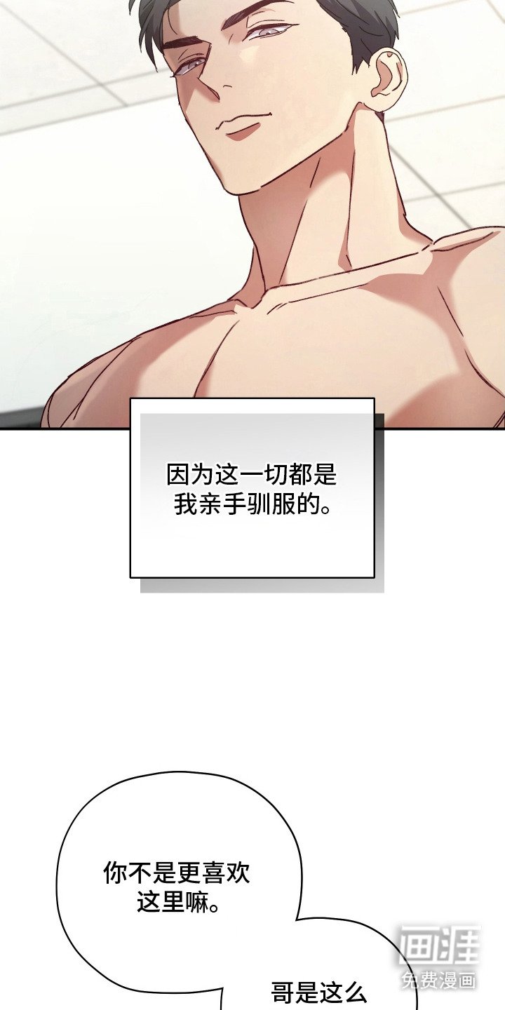第6章：亲手驯服