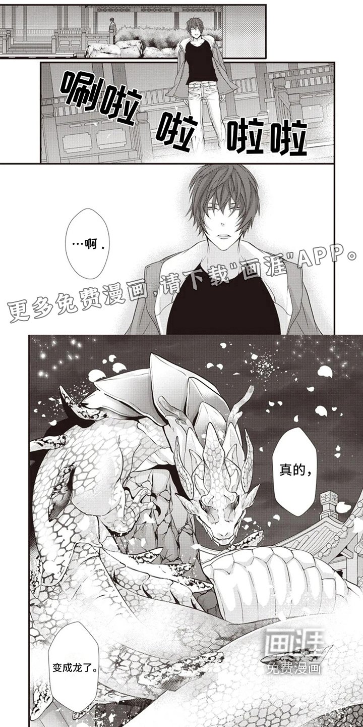 第12章：想回家