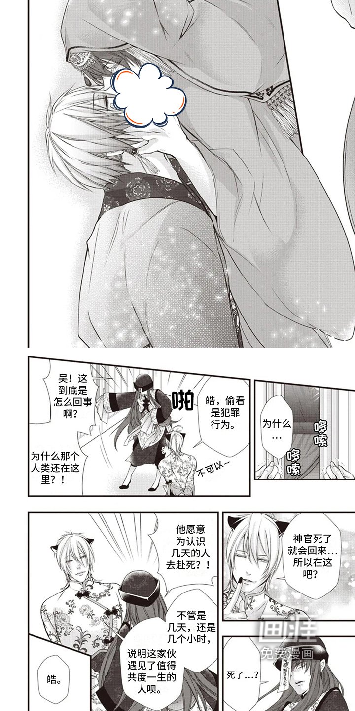 第18章：决定