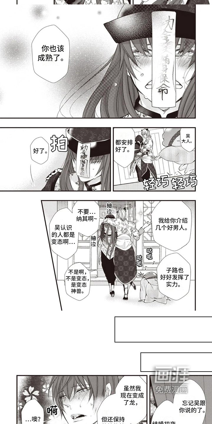 第18章：决定