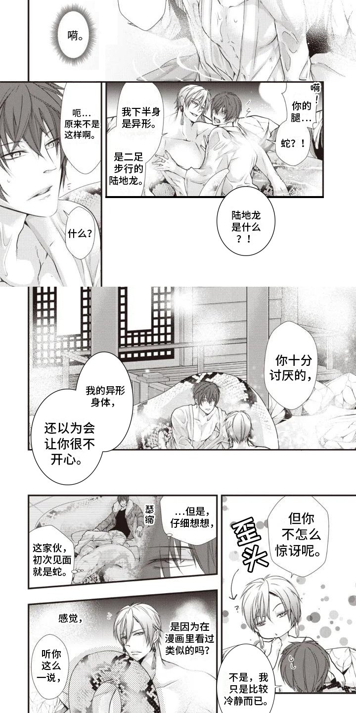 第3章：选择