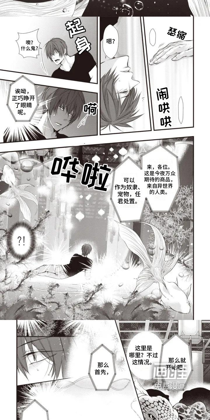 第4章：拍卖场