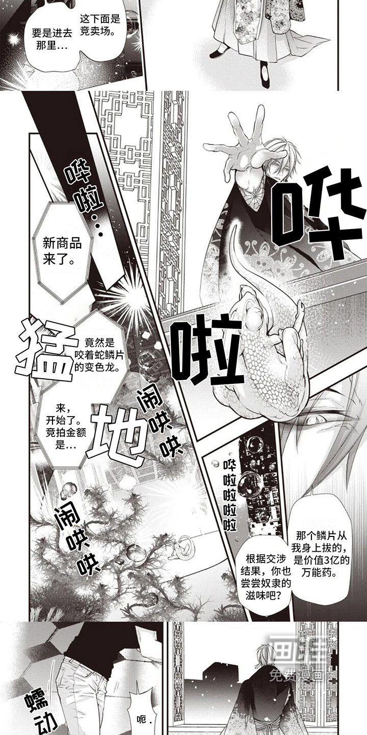 第6章：救人