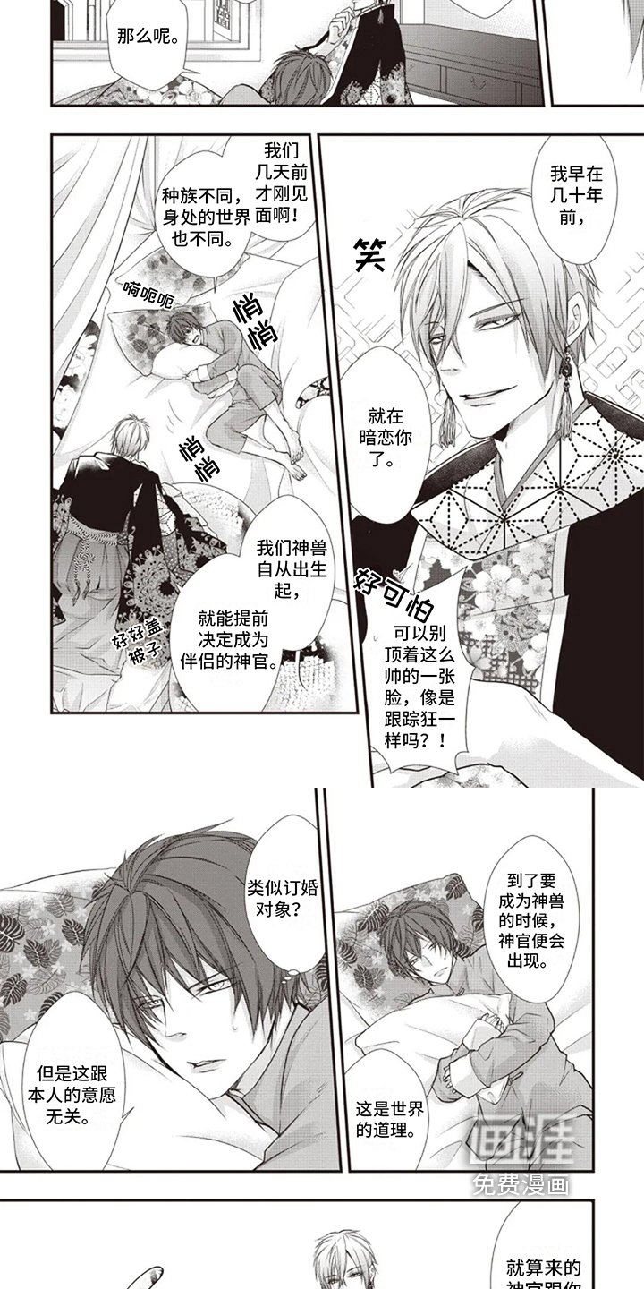 第8章：喜欢