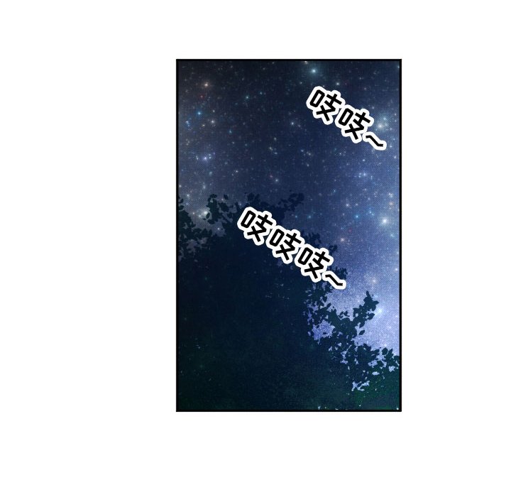 第11章：星空下