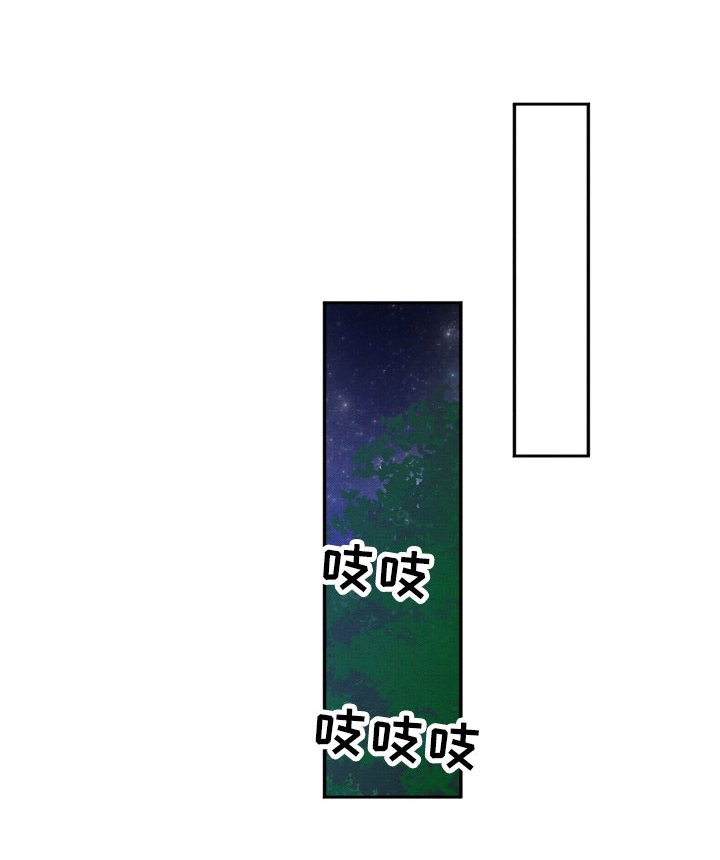 第12章：追逐